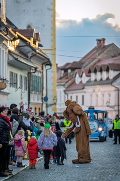 Kamniški karneval navdušil z barvito povorko (32)